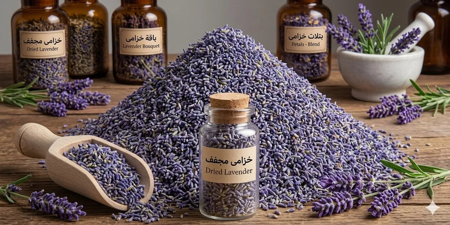خزامى مجفف